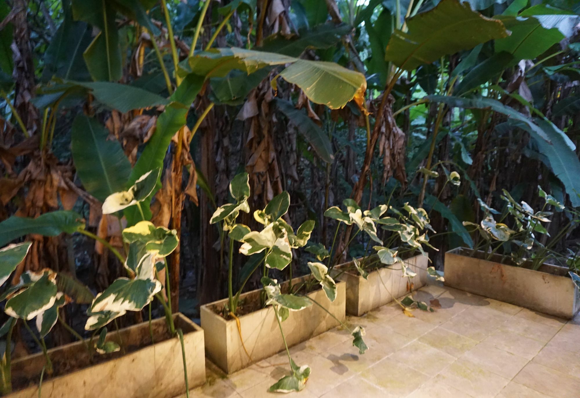 Villa De View チェンダオ エクステリア 写真