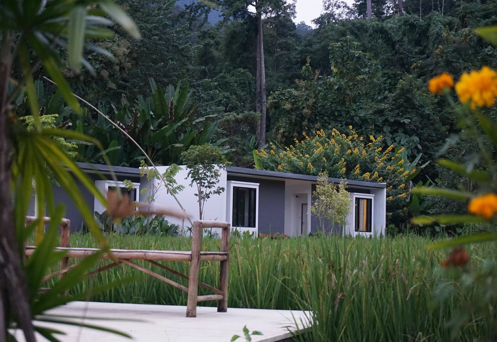 Villa De View チェンダオ エクステリア 写真